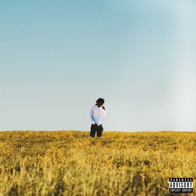 Album cover art for No Luck