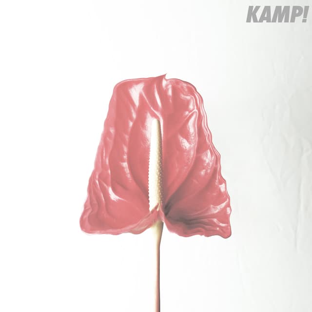 Album cover art for Kamp!