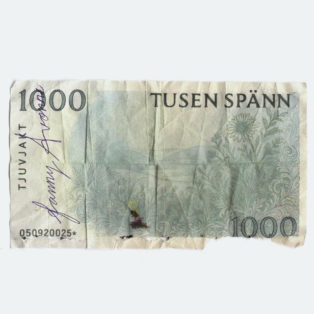 Album cover art for Tusen spänn