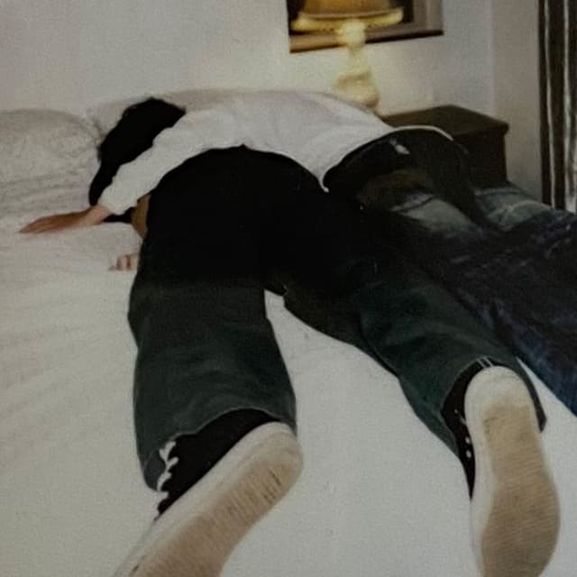 Album cover art for darling, he lied
