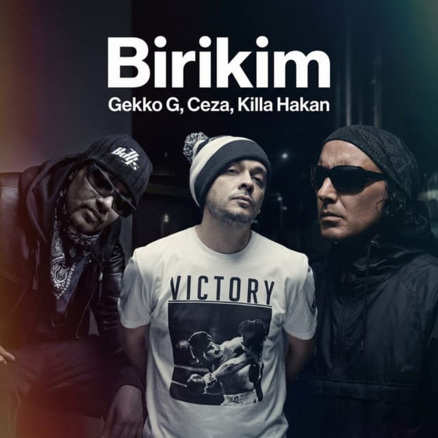 Album cover art for Birikim