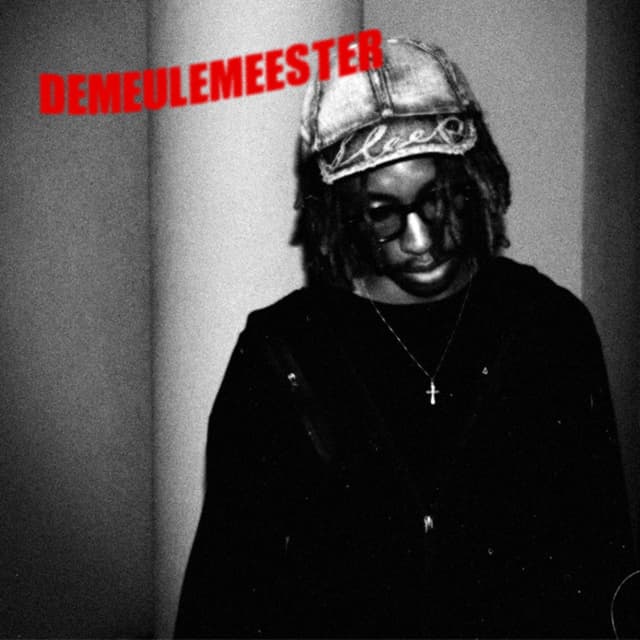 Album cover art for Demeulemeester