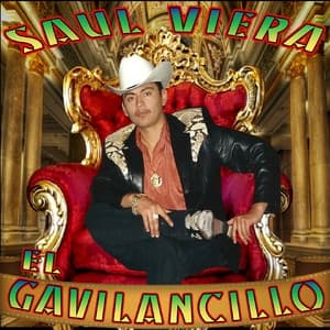 Album cover art for 15 Exitos Con Banda
