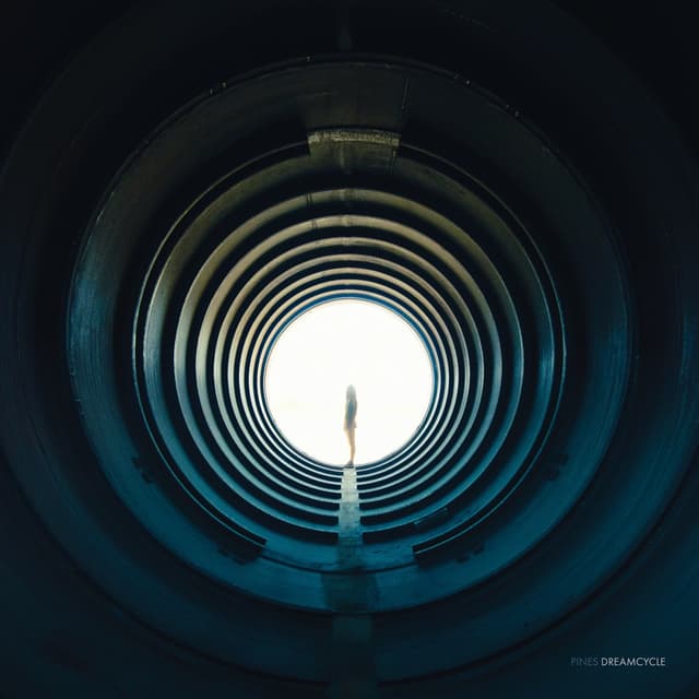 Album cover art for Dreamcycle