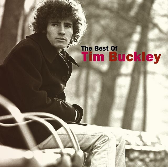 Album cover art for The Best Of Tim Buckley