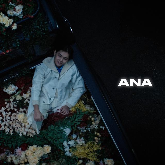 Album cover art for Ana