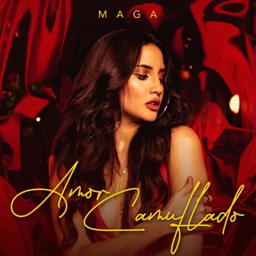 Album cover art for Amor Camuflado