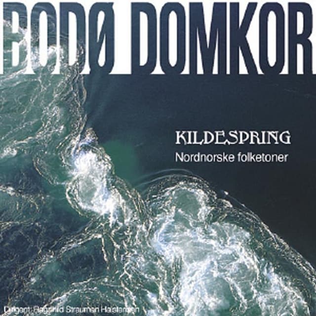 Album cover art for Kildespring nordiske folketoner