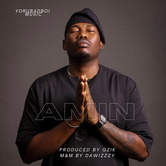 Album cover art for Amin