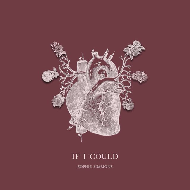Album cover art for If I Could