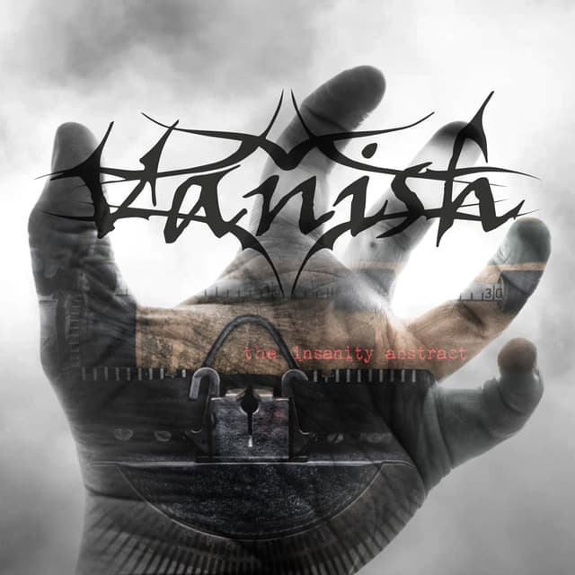 Album cover art for The Insanity Abstract