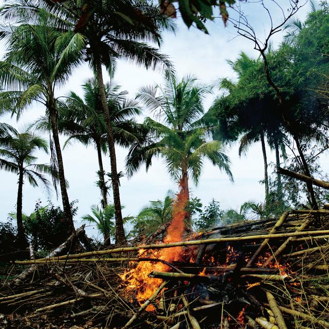 Album cover art for Metaphors - Selected Soundworks from the Cinema of Apichatpong Weerasethakul