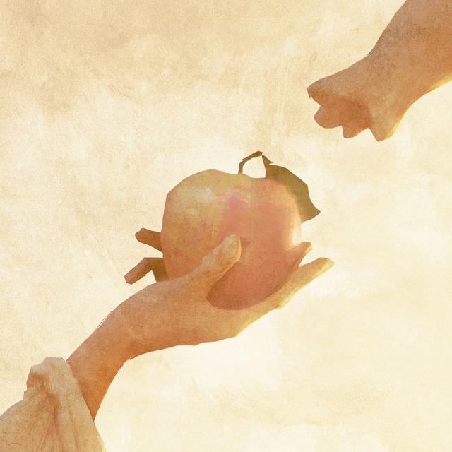 Album cover art for Apple Tree / Uchu Kara Yattekita Nyanbo
