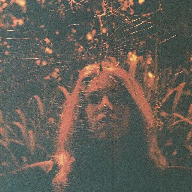 Album cover art for Peripheral Vision