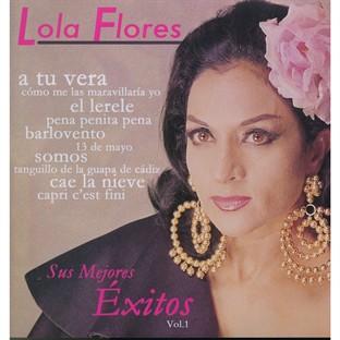 Album cover art for Sus Mejores Exitos