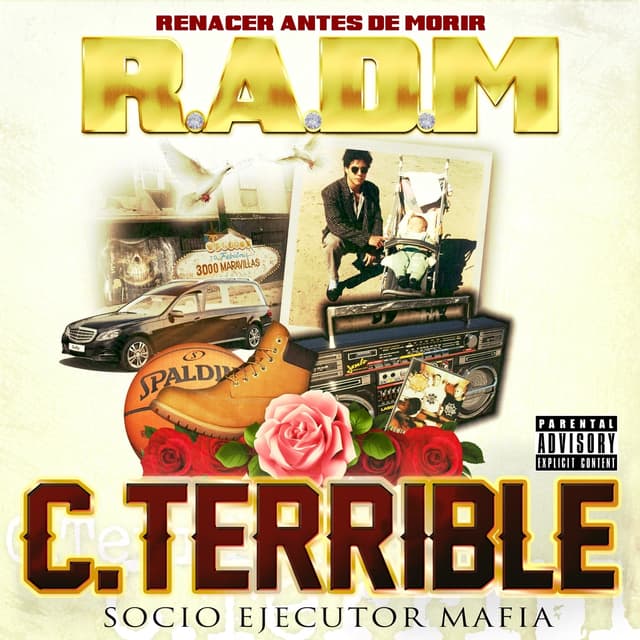 Album cover art for R.A.D.M.