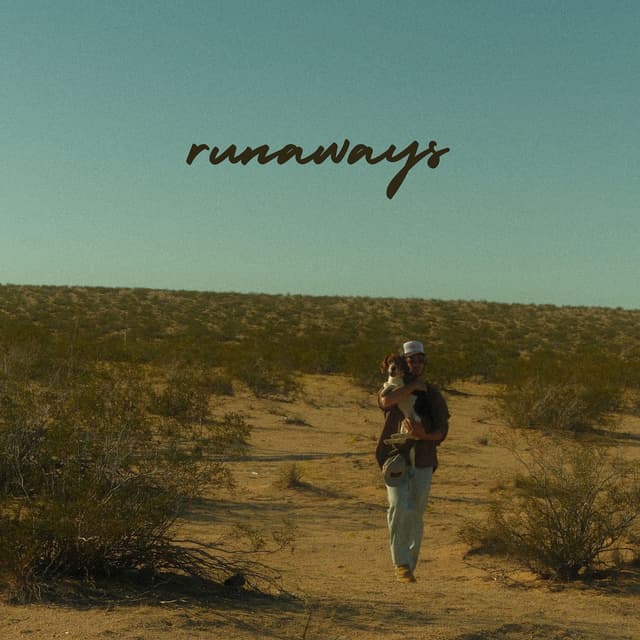 Album cover art for Runaways