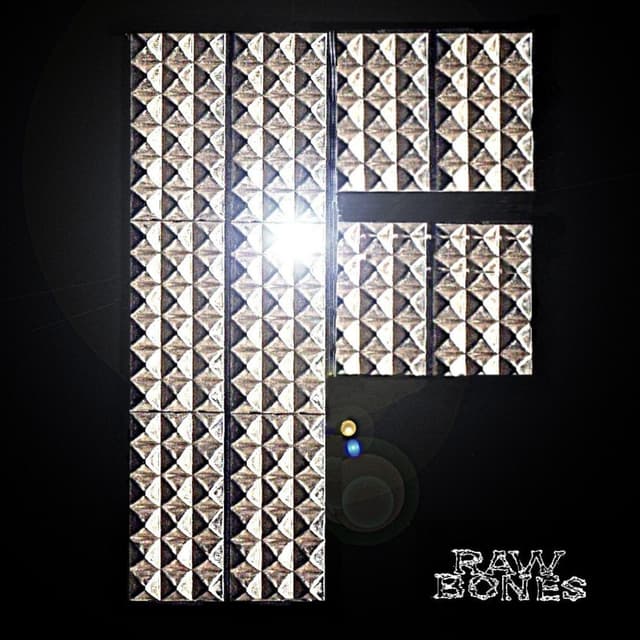 Album cover art for Raw Bones