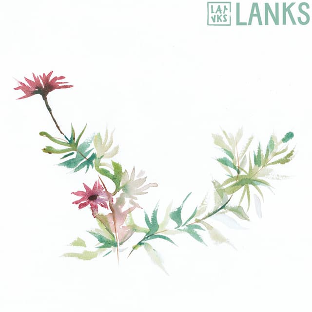 Album cover art for Viet Rose