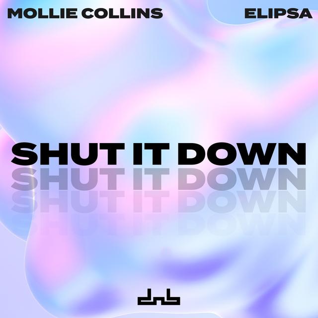 Album cover art for Shut It Down