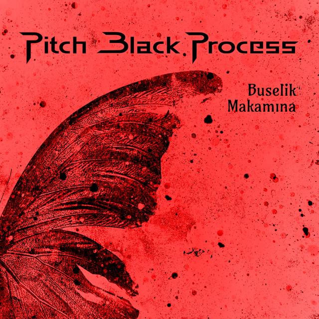 Album cover art for Buselik Makamına