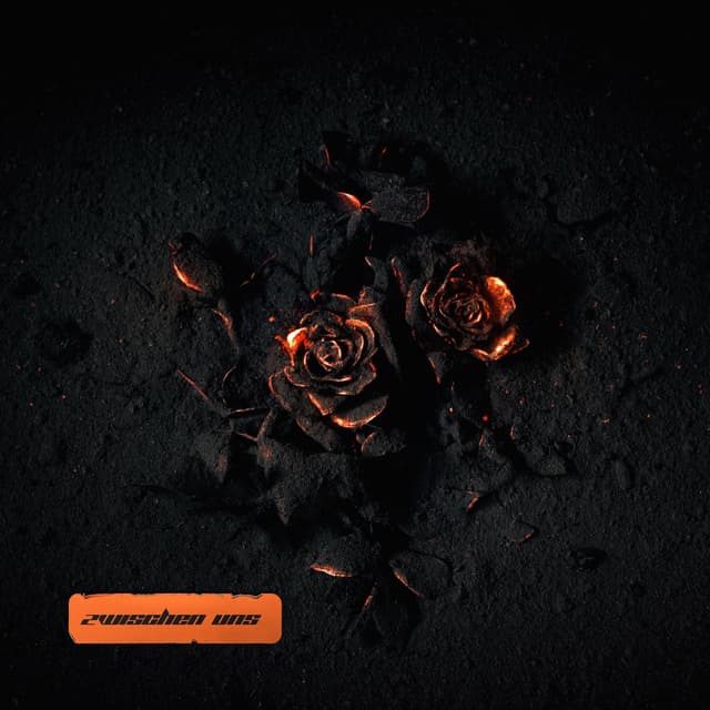 Album cover art for Zwischen Uns