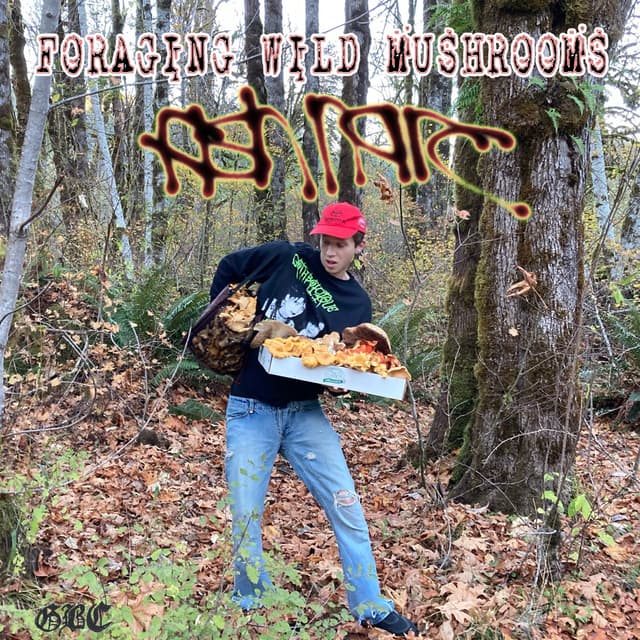 Album cover art for Foraging Wild Mushrooms