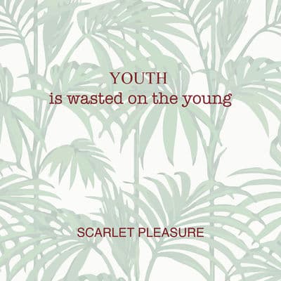 Album cover art for Youth Is Wasted on the Young