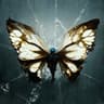 Rishi