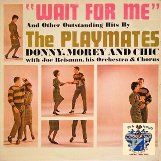 Album cover art for Wait for Me