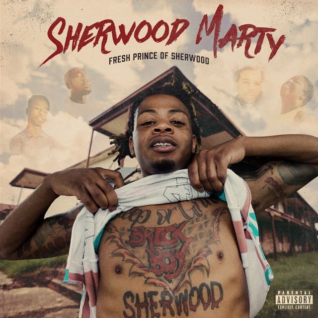 Album cover art for Fresh Prince of Sherwood