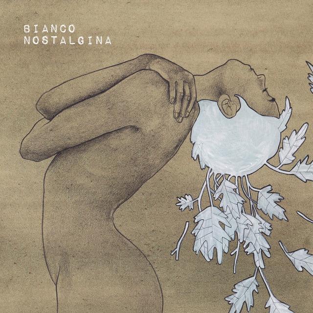 Album cover art for Nostalgina