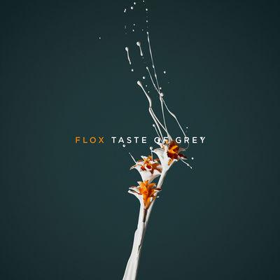 Album cover art for Taste of Grey