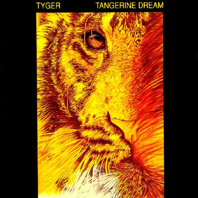 Album cover art for Tyger
