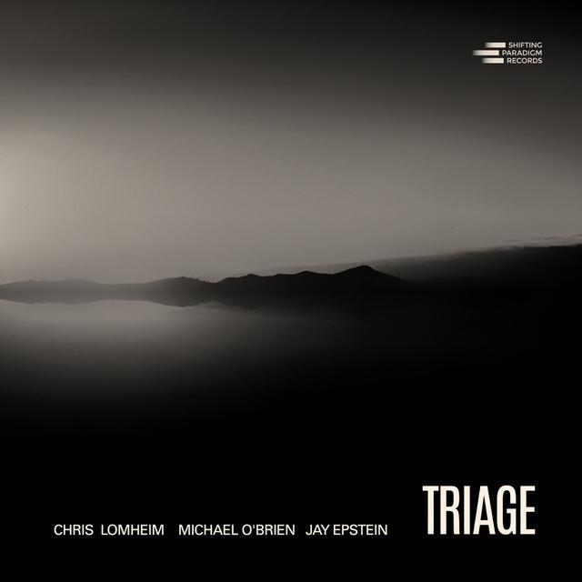 Album cover art for Triage