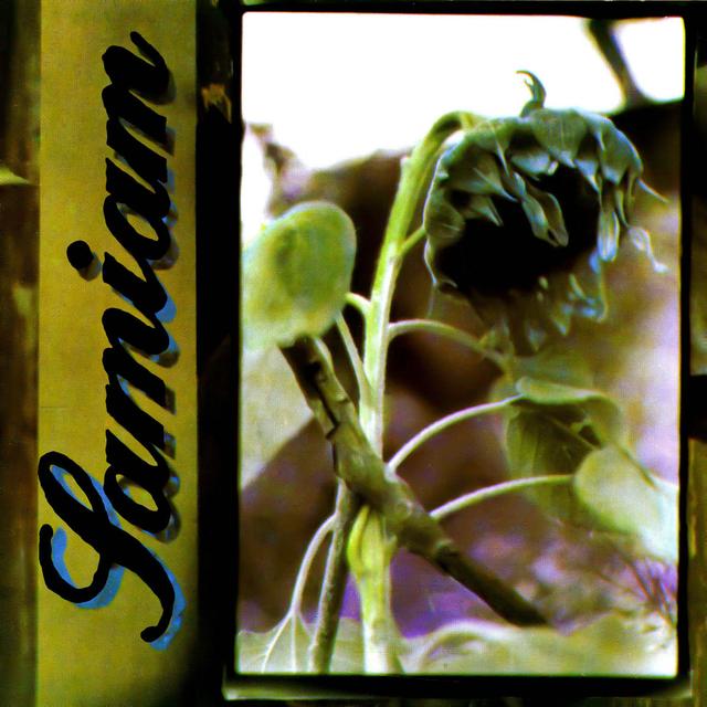 Album cover art for Samiam