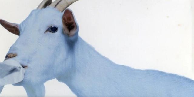 Album cover art for 未来航路