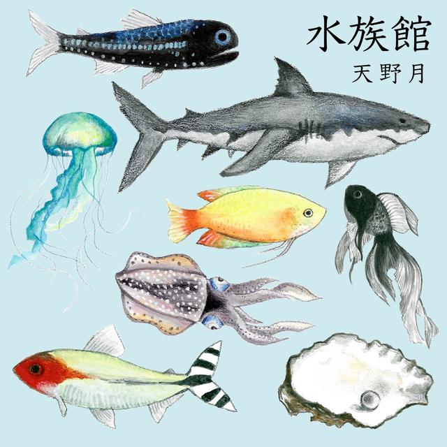 Album cover art for 水族館