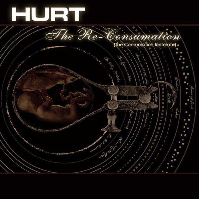 Album cover art for The Re-Consumation (The Consumation Reiterate)