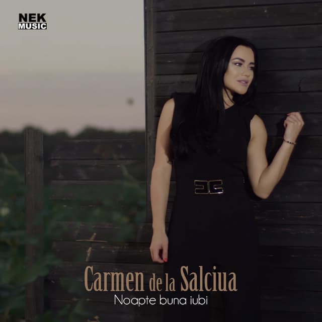 Album cover art for Noapte Buna Iubi