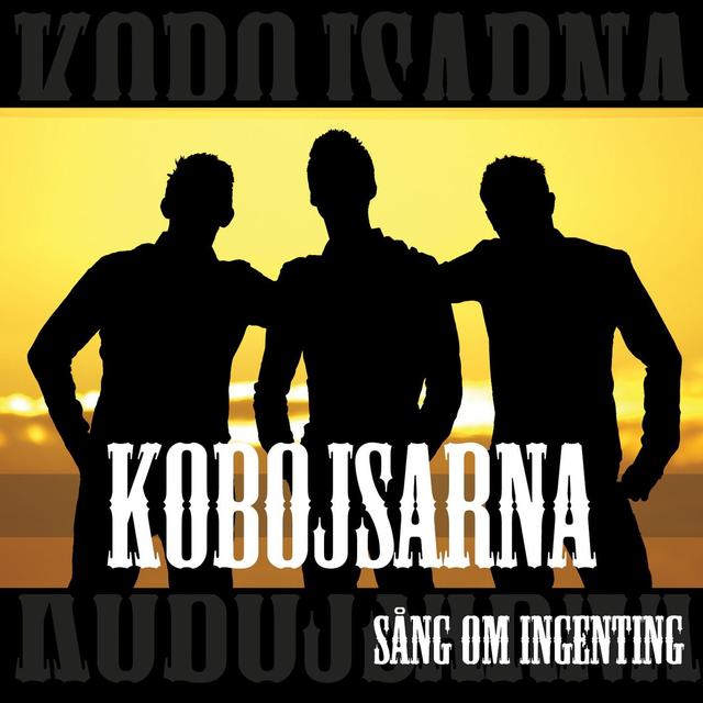 Album cover art for Sång Om Ingenting