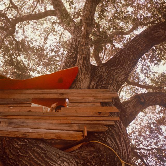 Album cover art for Waiting to Spill