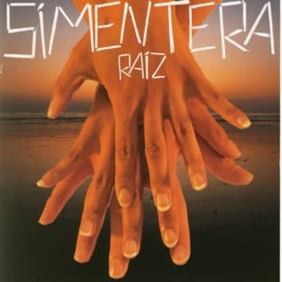 Album cover art for Raiz