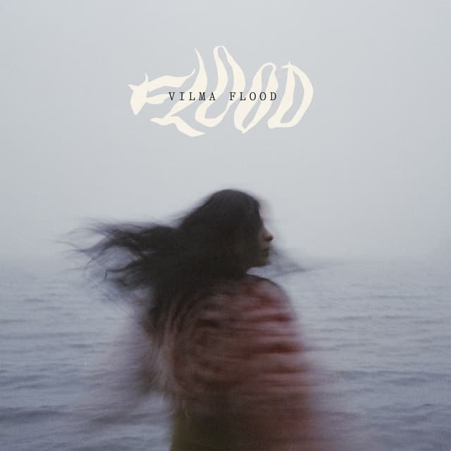 Album cover art for Flood