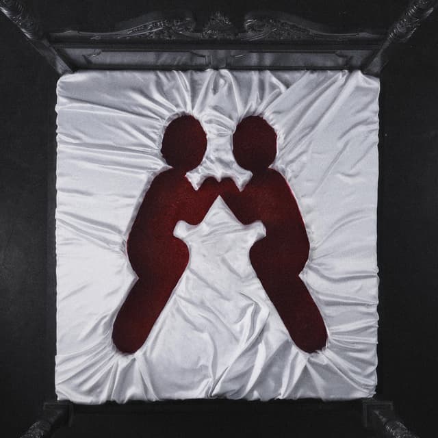 Album cover art for I Bring My Gun To The Function (with Boys Noize)
