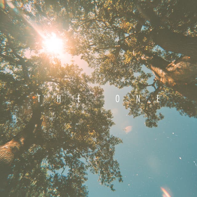 Album cover art for The One