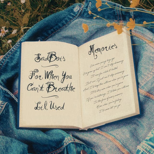 Album cover art for Memories