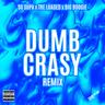 Dumb Crasy
