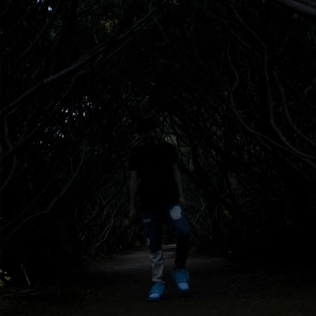 Album cover art for Escape