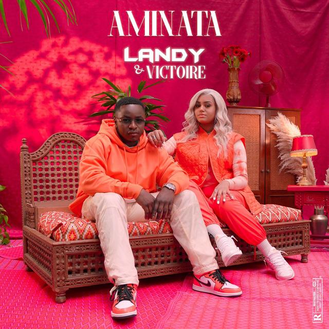 Album cover art for Aminata